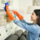 cleaning services