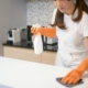 Cleaning Service